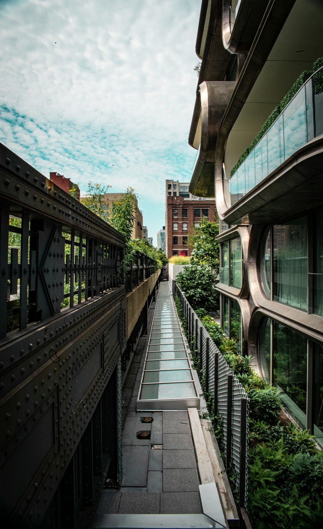 Walk the High Line