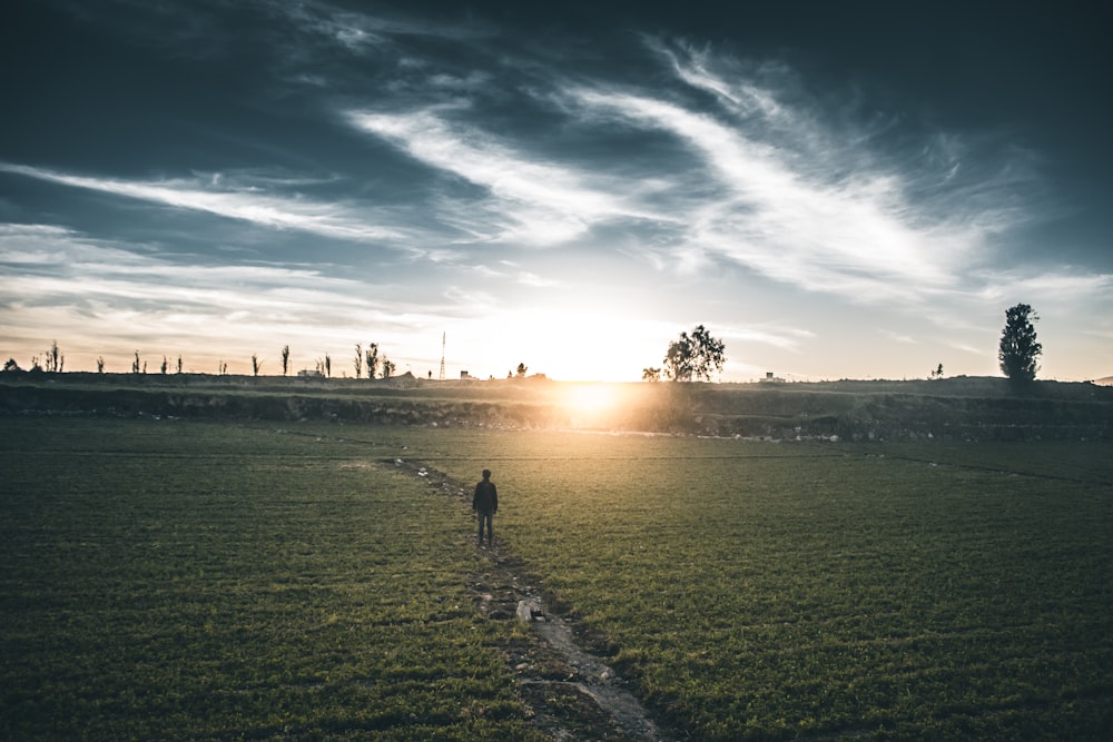 person standing on grass field during golden hour