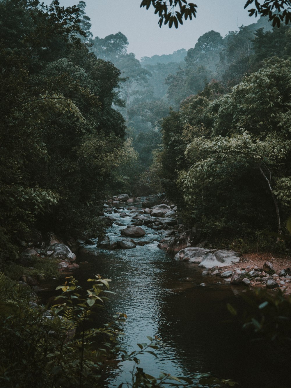 750+ Nature Lover Pictures | Download Free Images on Unsplash