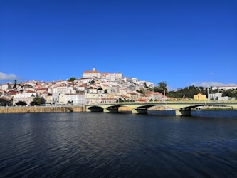 white bridge near houses