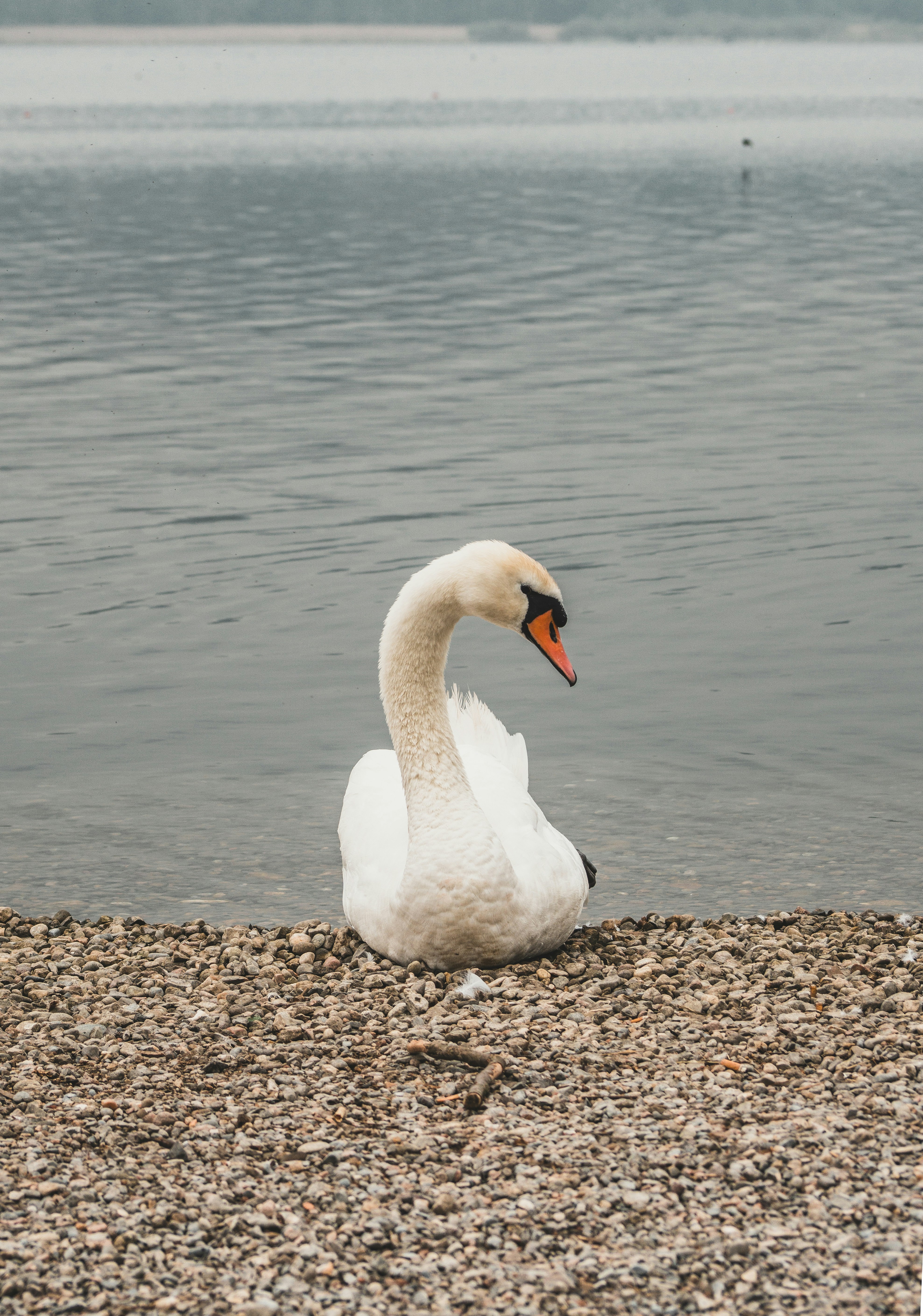 Photo by jose_maria_sava