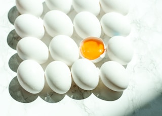 white eggs on white surface