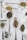 Various types of loose tea leaves and herbs are displayed on metal spoons against a white marble background. The spoons are scattered across the surface, each holding different tea blends, including chamomile flowers, green tea, and other herbal mixes.