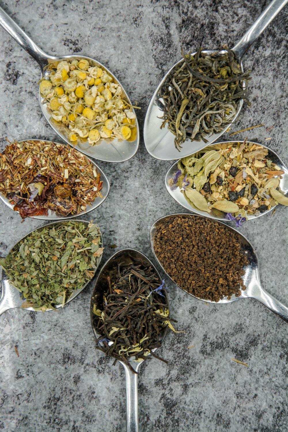 Sette diverse spezie ed erbe aromatiche su cucchiai grigi in acciaio inossidabile