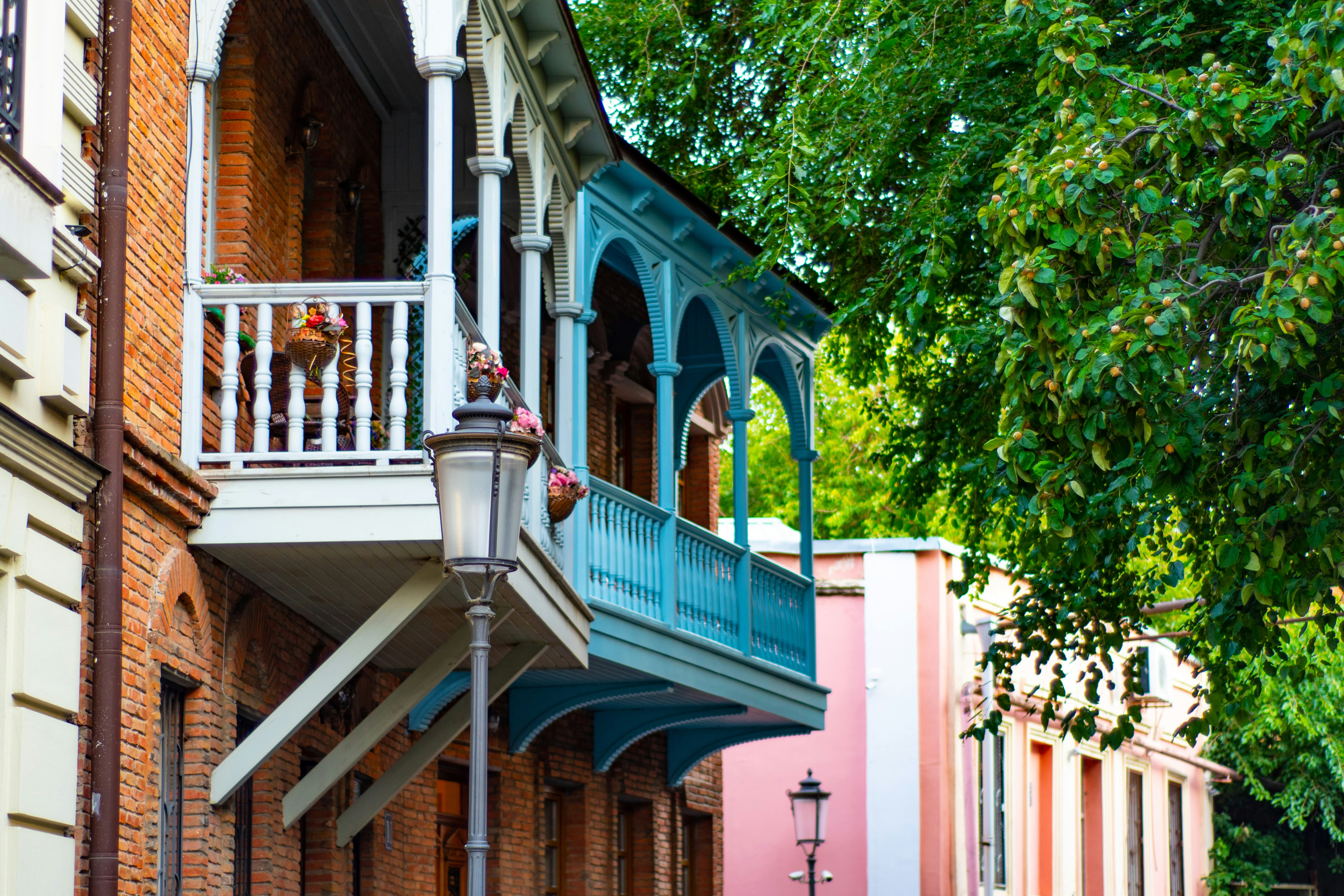 Photo by davidshvangiradze