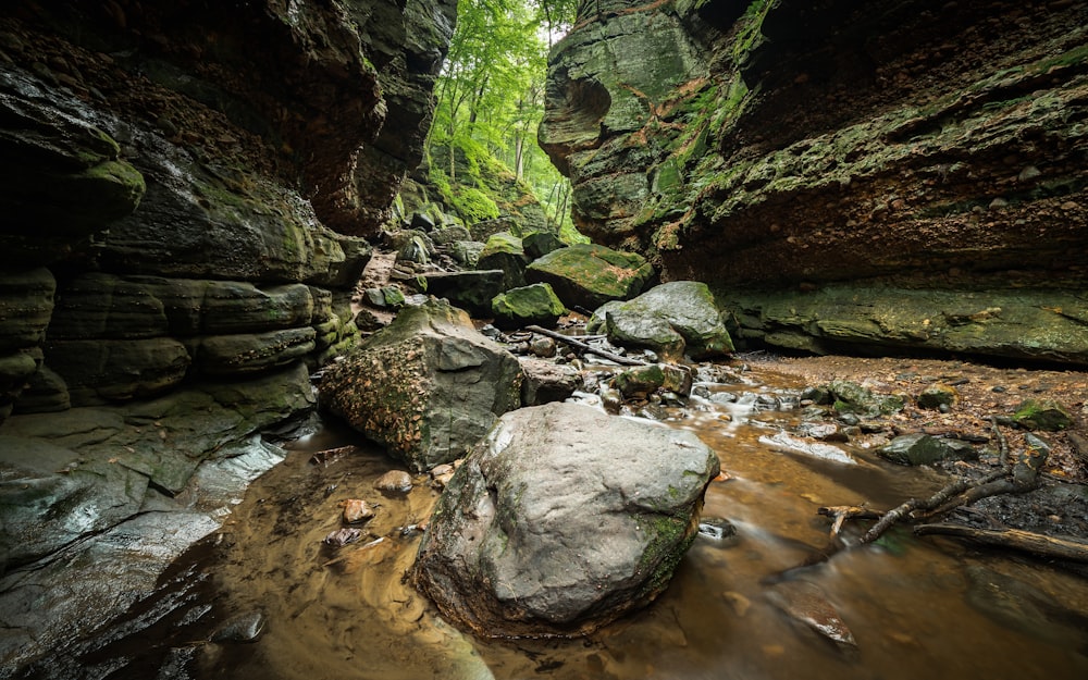 Rocas grises en cueva