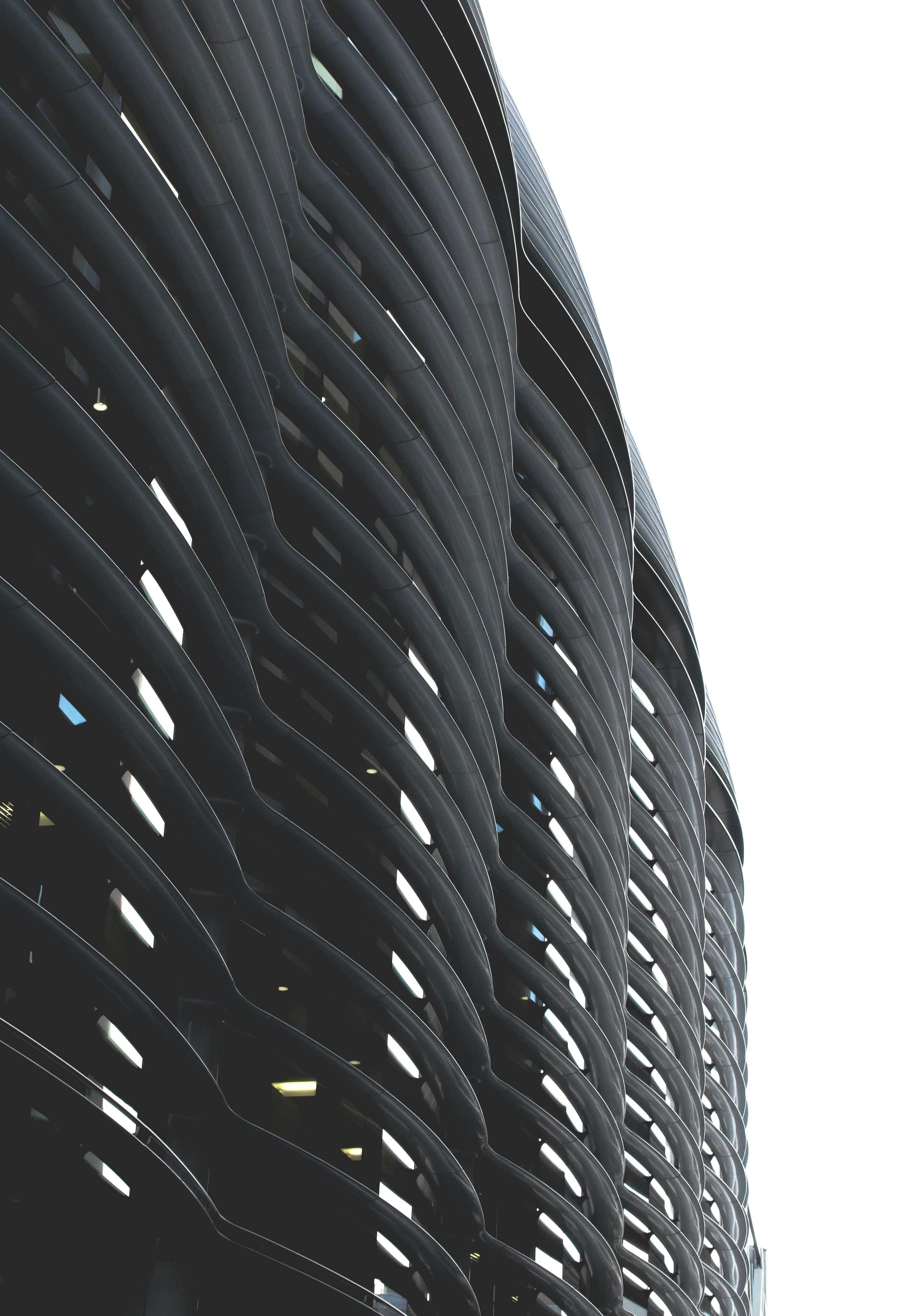 Photo by puregraphics