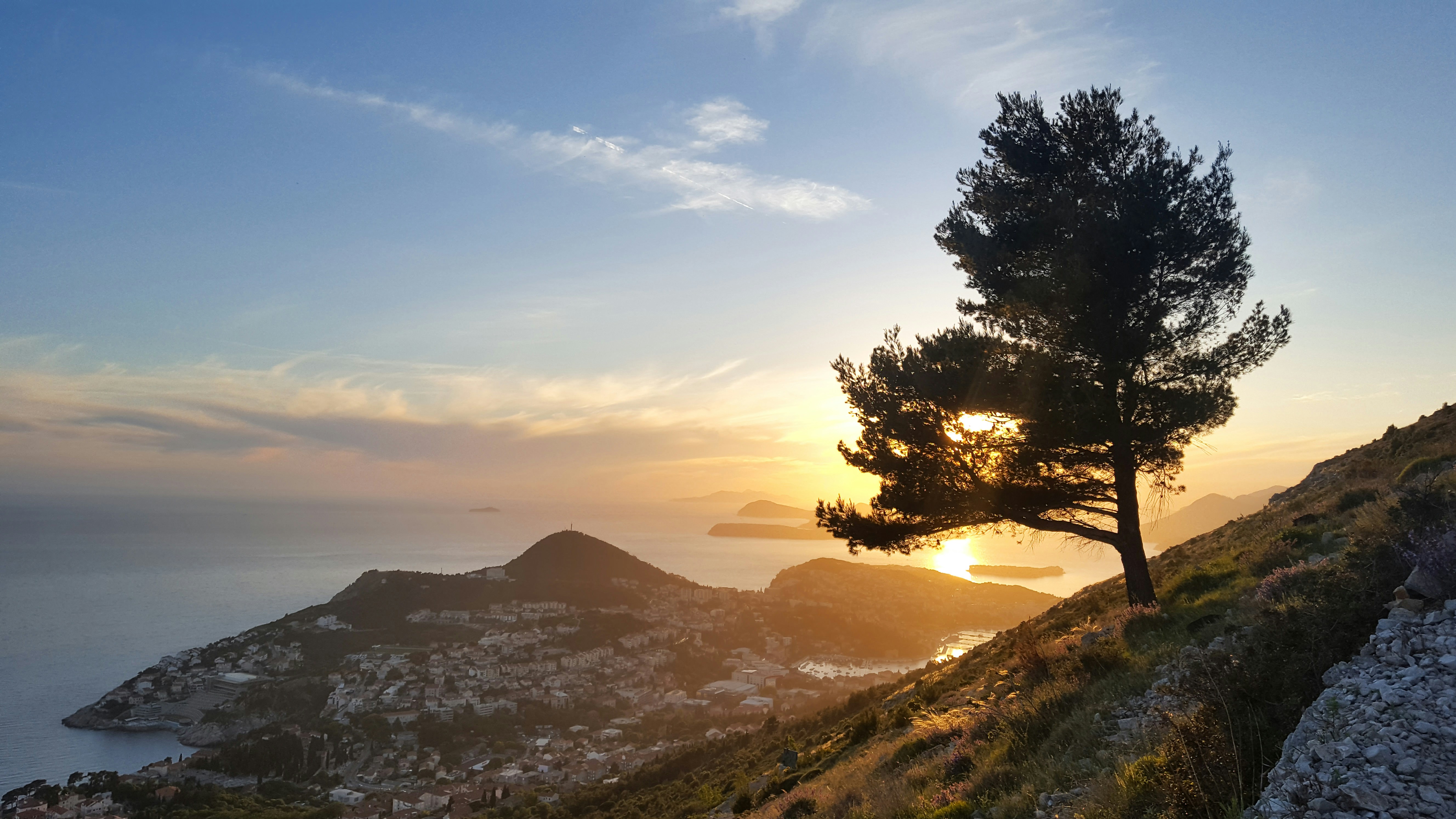 Photo by mrmarkdejong