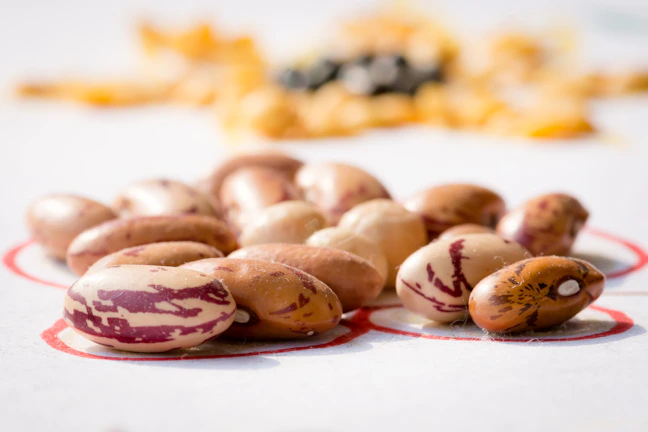 Close-up of fresh beans and lentils spilling from a rustic basket on a wooden table