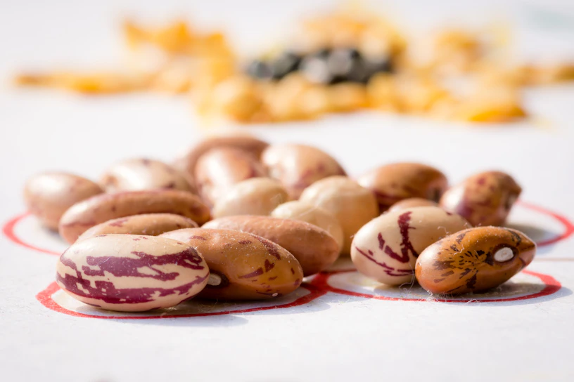 Close-up of colorful beans spilling from a rustic wooden bowl onto a linen cloth.