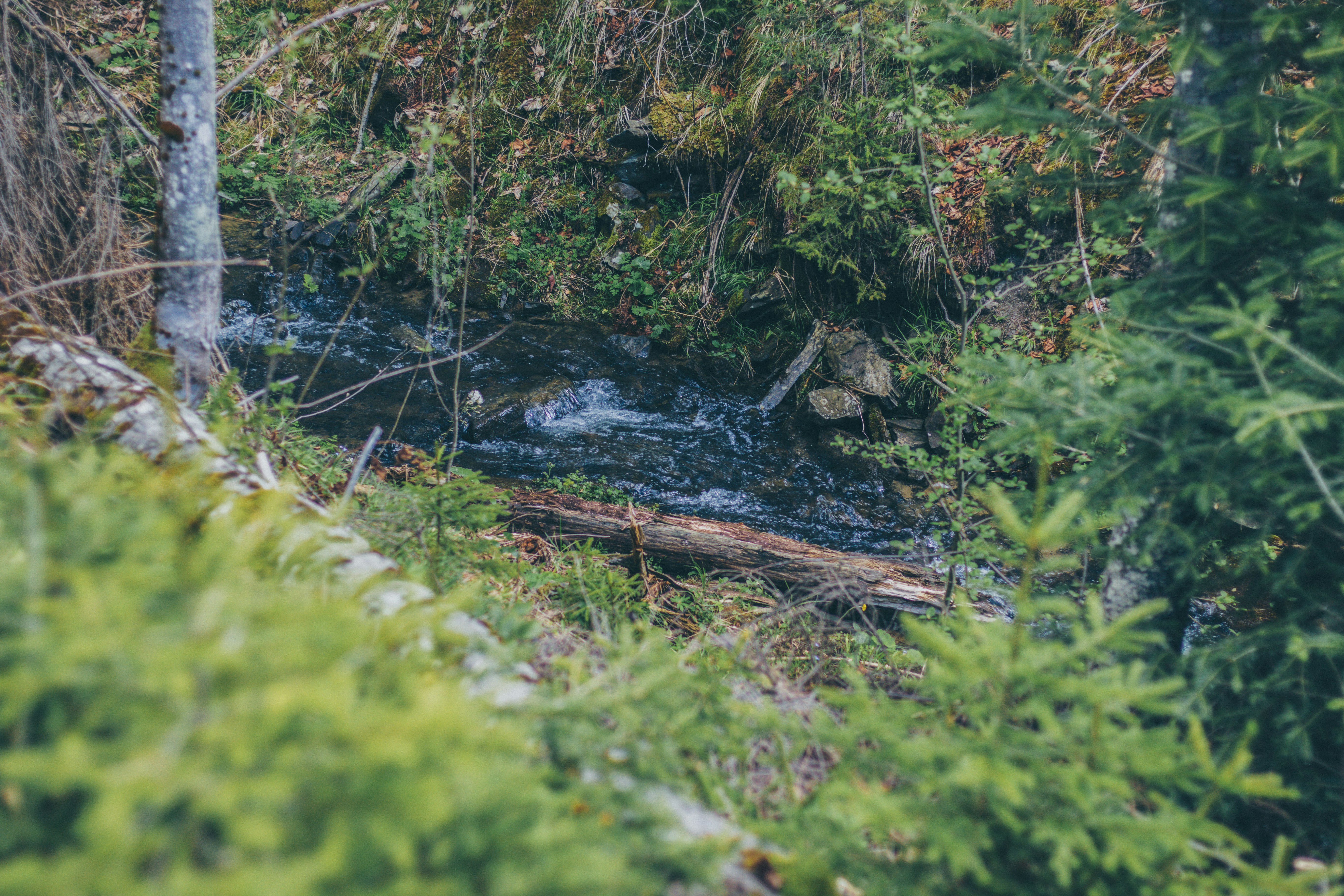 Photo by bera_design