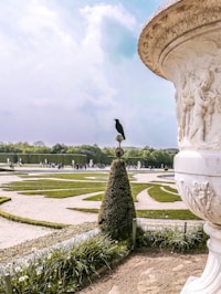 Garden Versailles bird on topiary plant