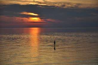 A golden sunset over tranquil waves with a lone paddleboarder gliding smoothly.