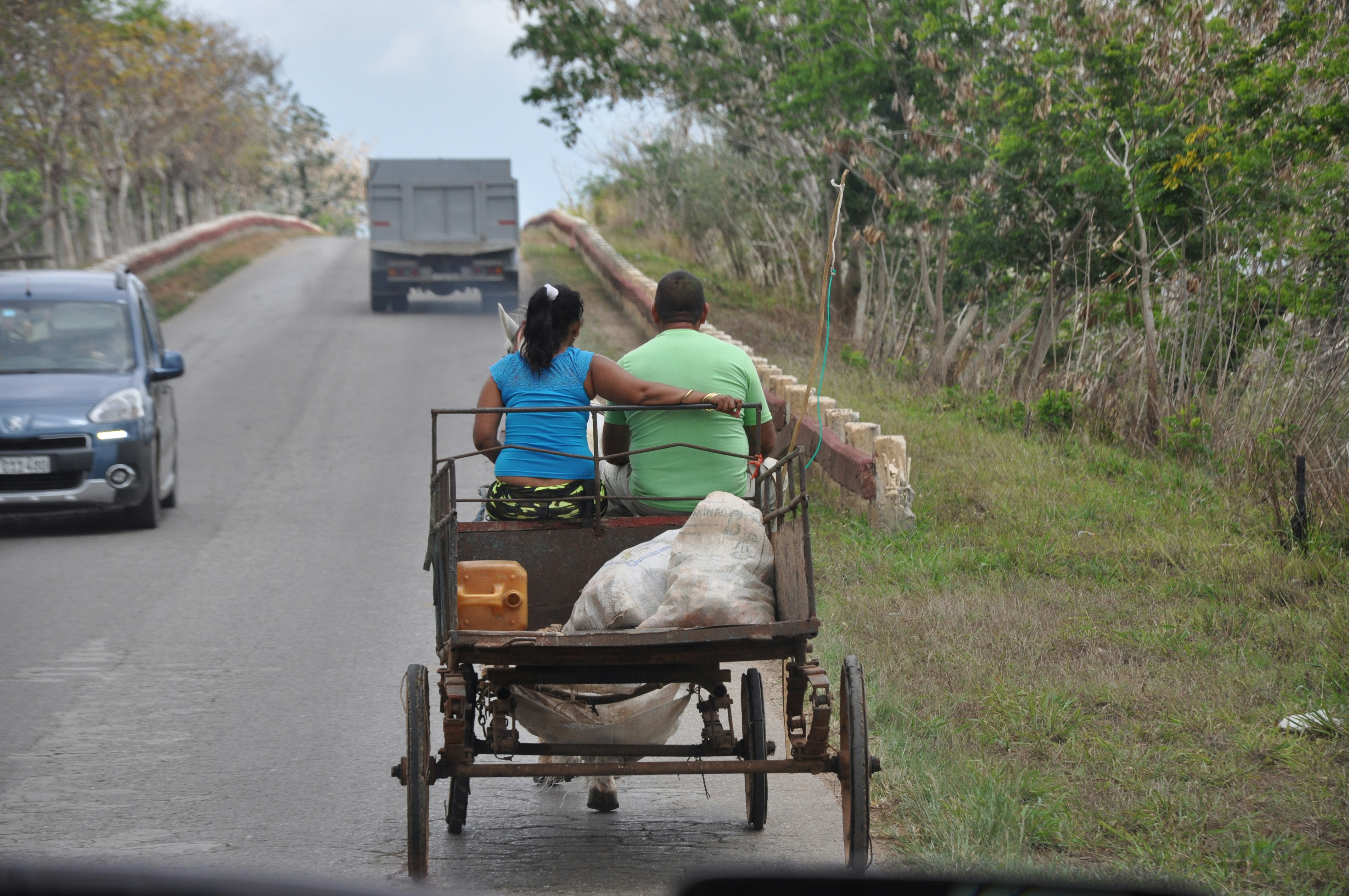 man and woman riding carriage