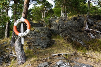 A lifebuoy with the name 'vesta' printed on it is attached to a tree trunk. The landscape consists of rocky terrain with patches of grass and trees scattered across, creating a natural and rugged environment.