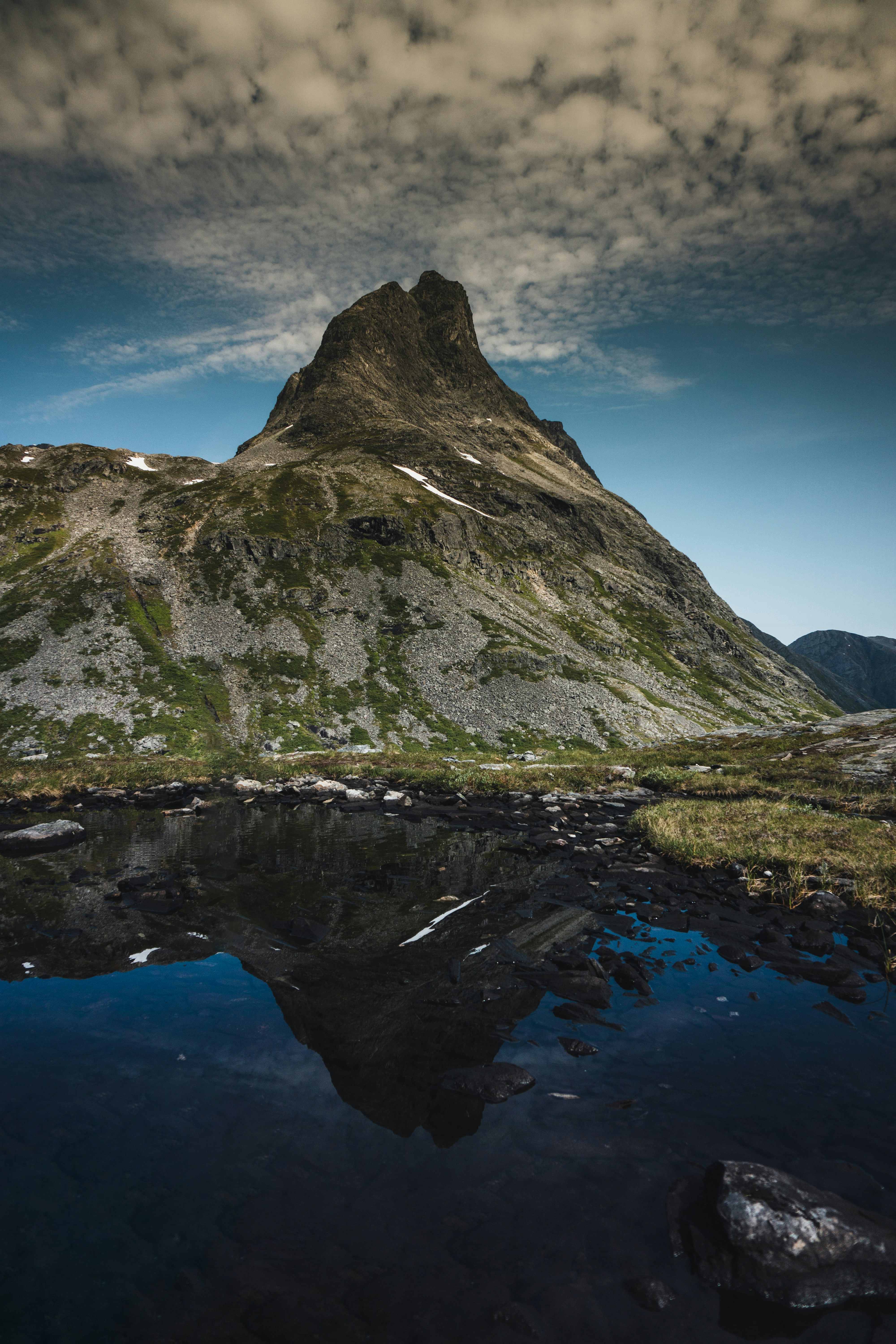 Photo by mitchelanneveldt