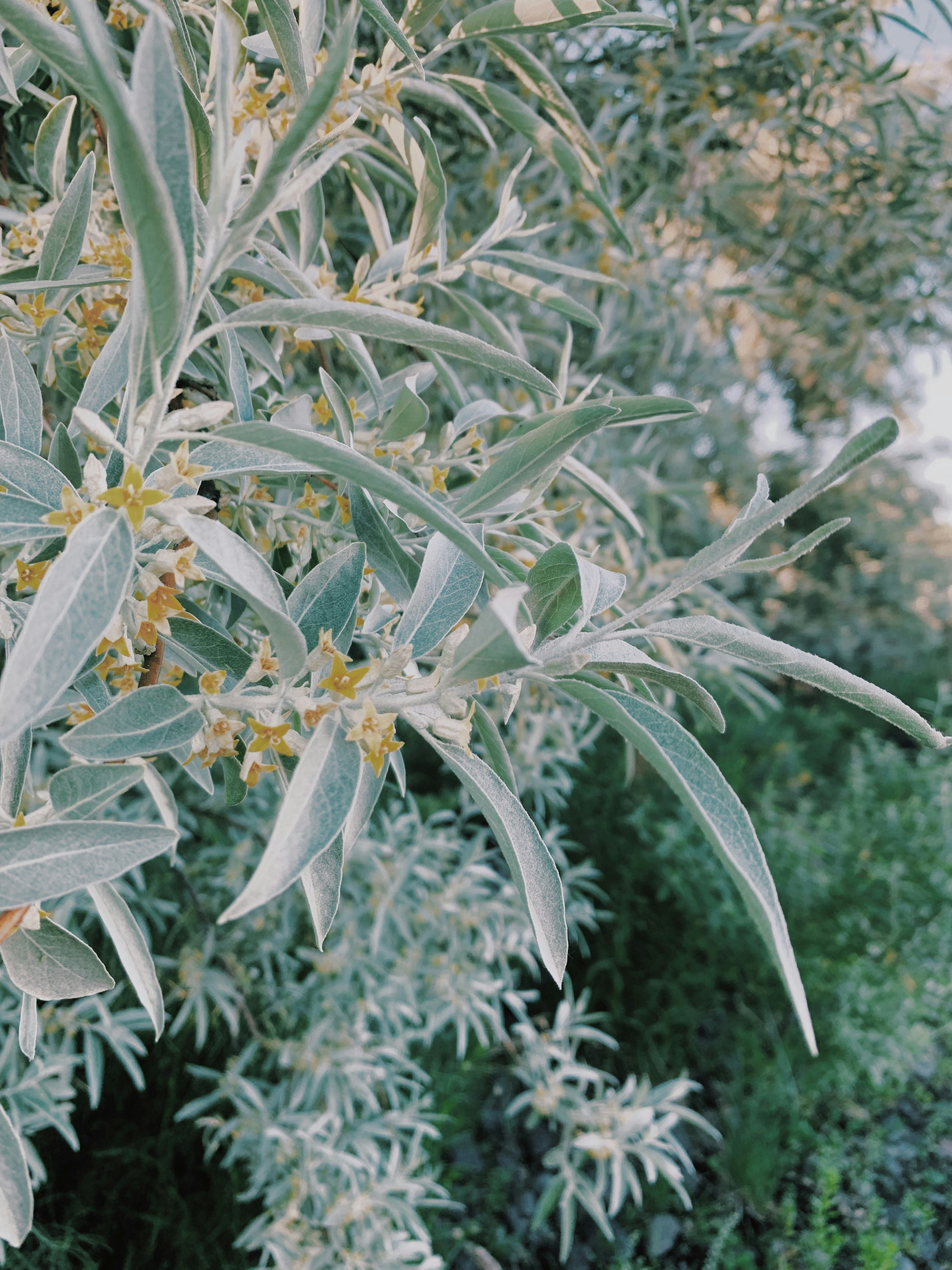 Photo by wayracreative