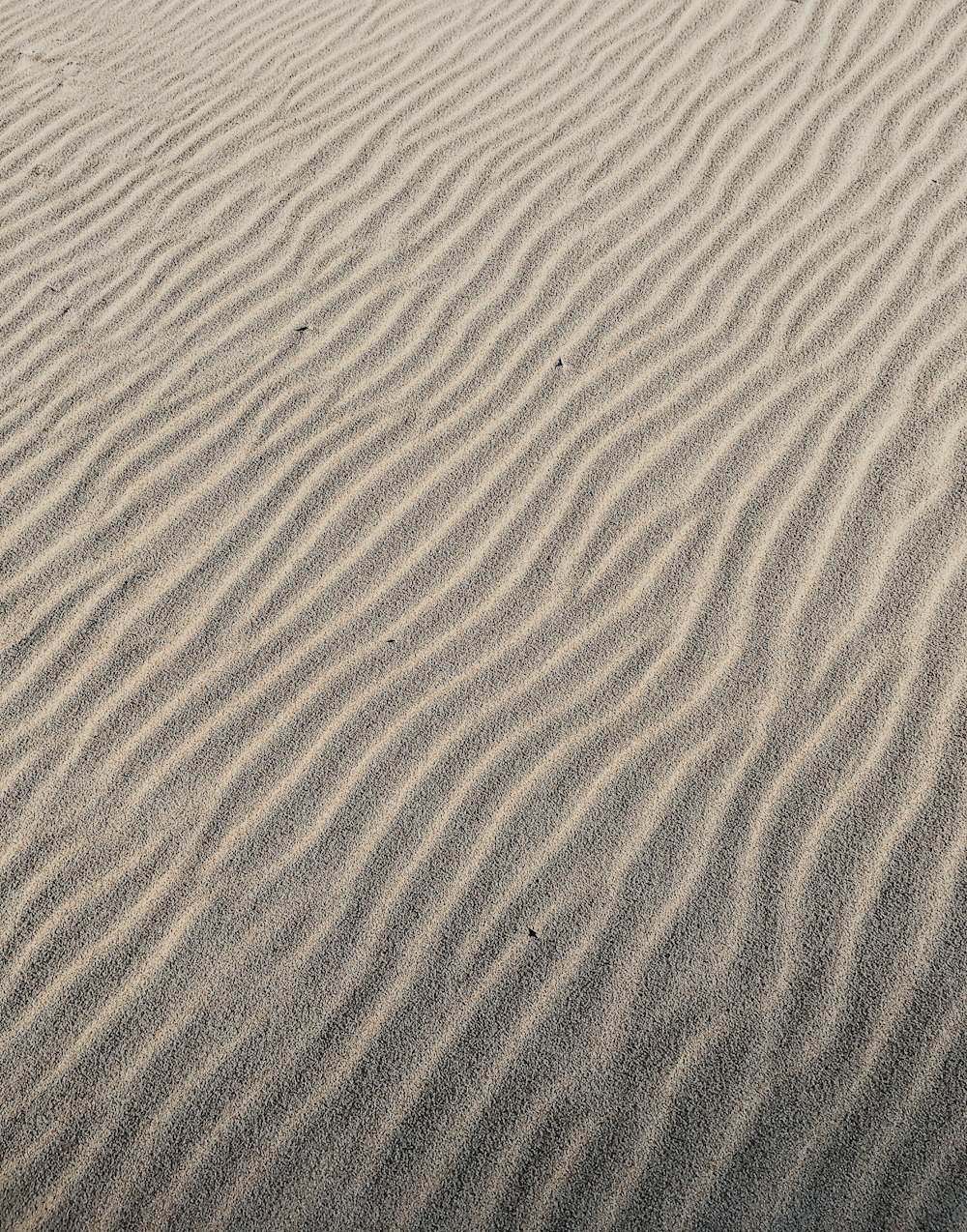 areia marrom