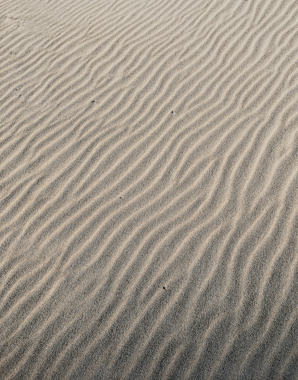 brown sand