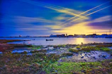 A vibrant photo of the Veracruz port at sunset with fishing boats and colorful buildings.