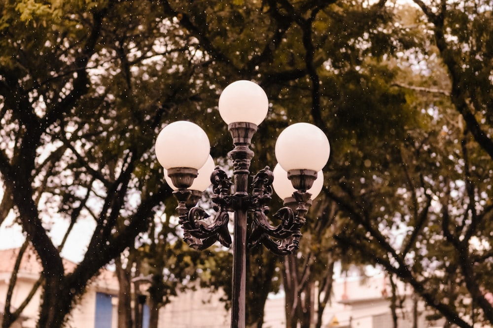 white utility post