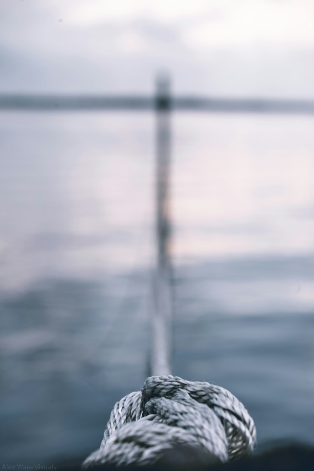 closeup photography of grey knot