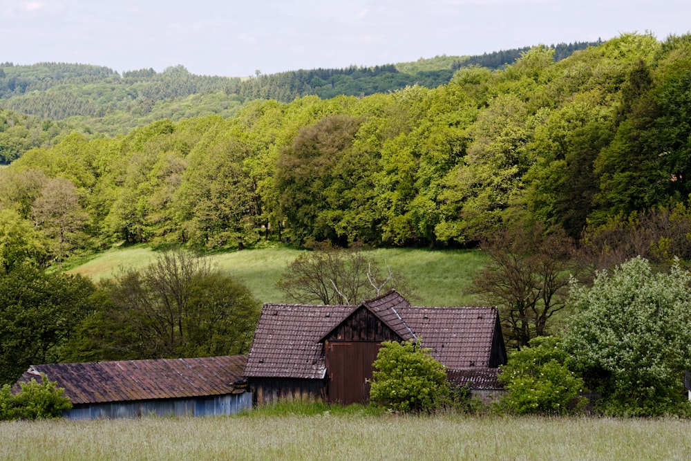 houses near trees during day