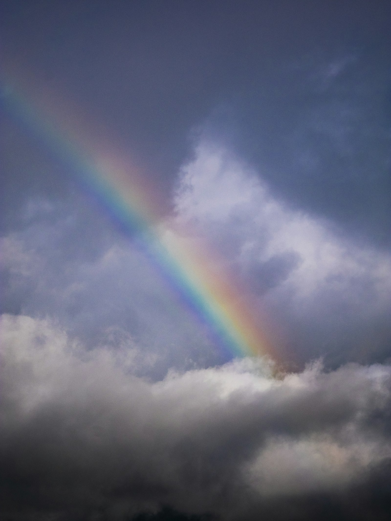 Sigma 60mm F2.8 DN Art sample photo. Rainbow during daytime photography