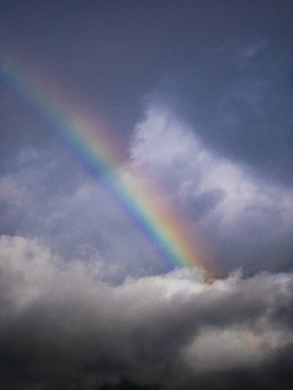 rainbow during daytime