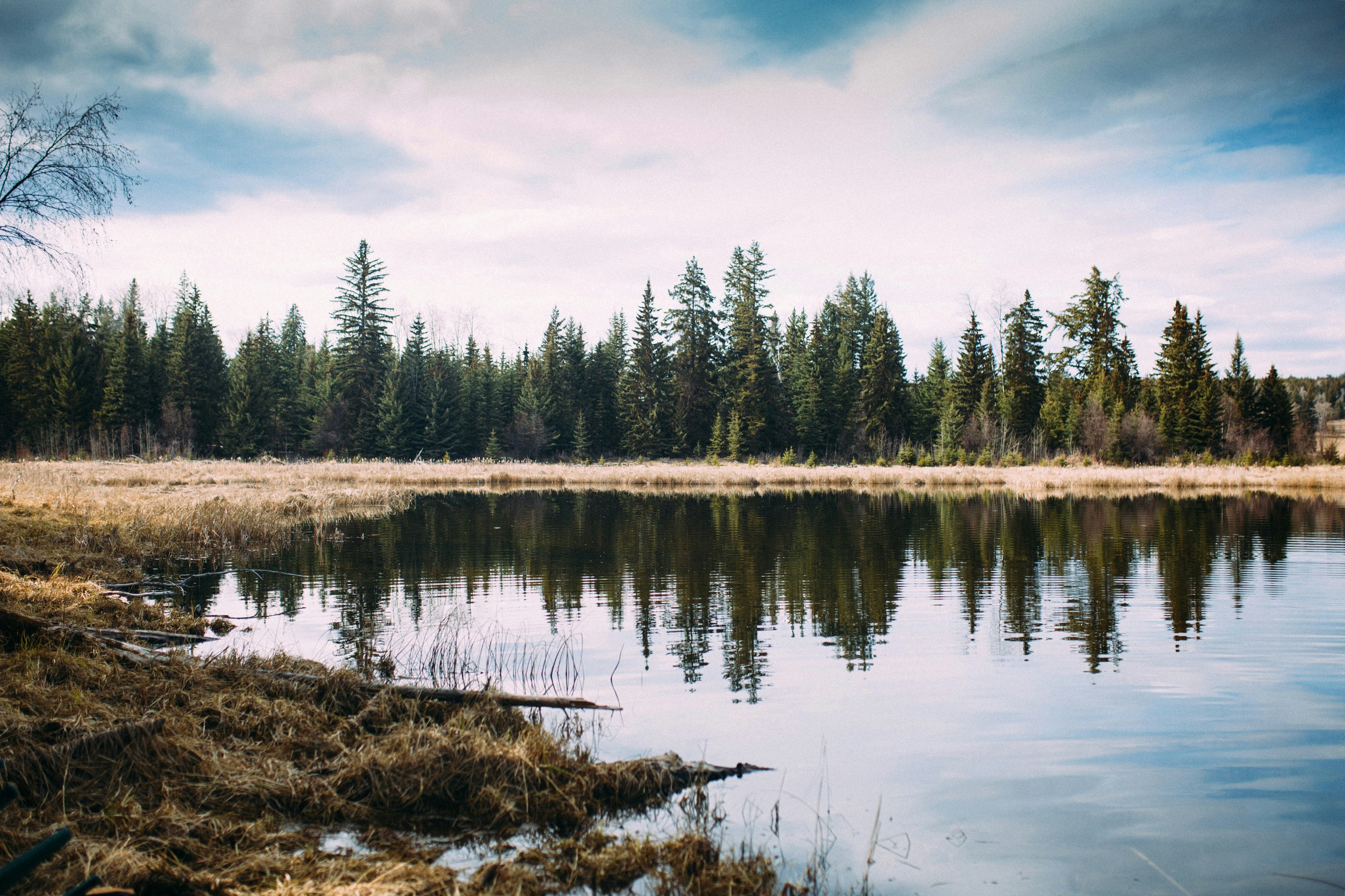 Photo by natureuninterrupted1