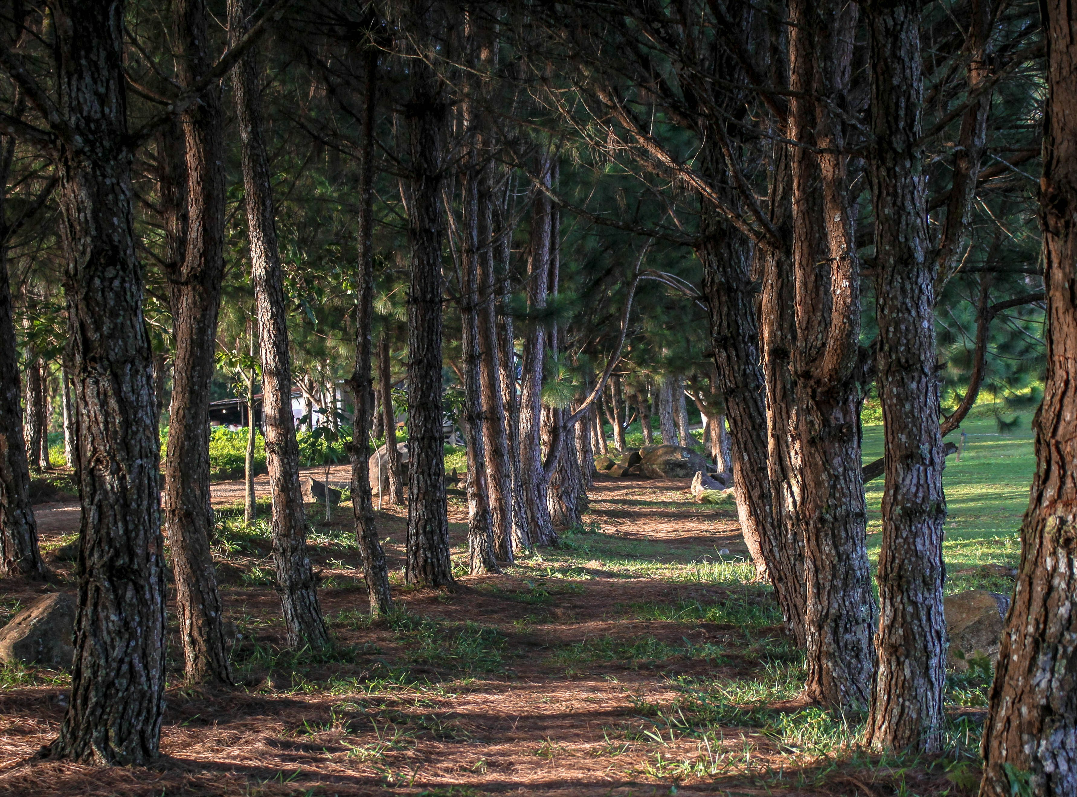 Photo by kitcasinillo