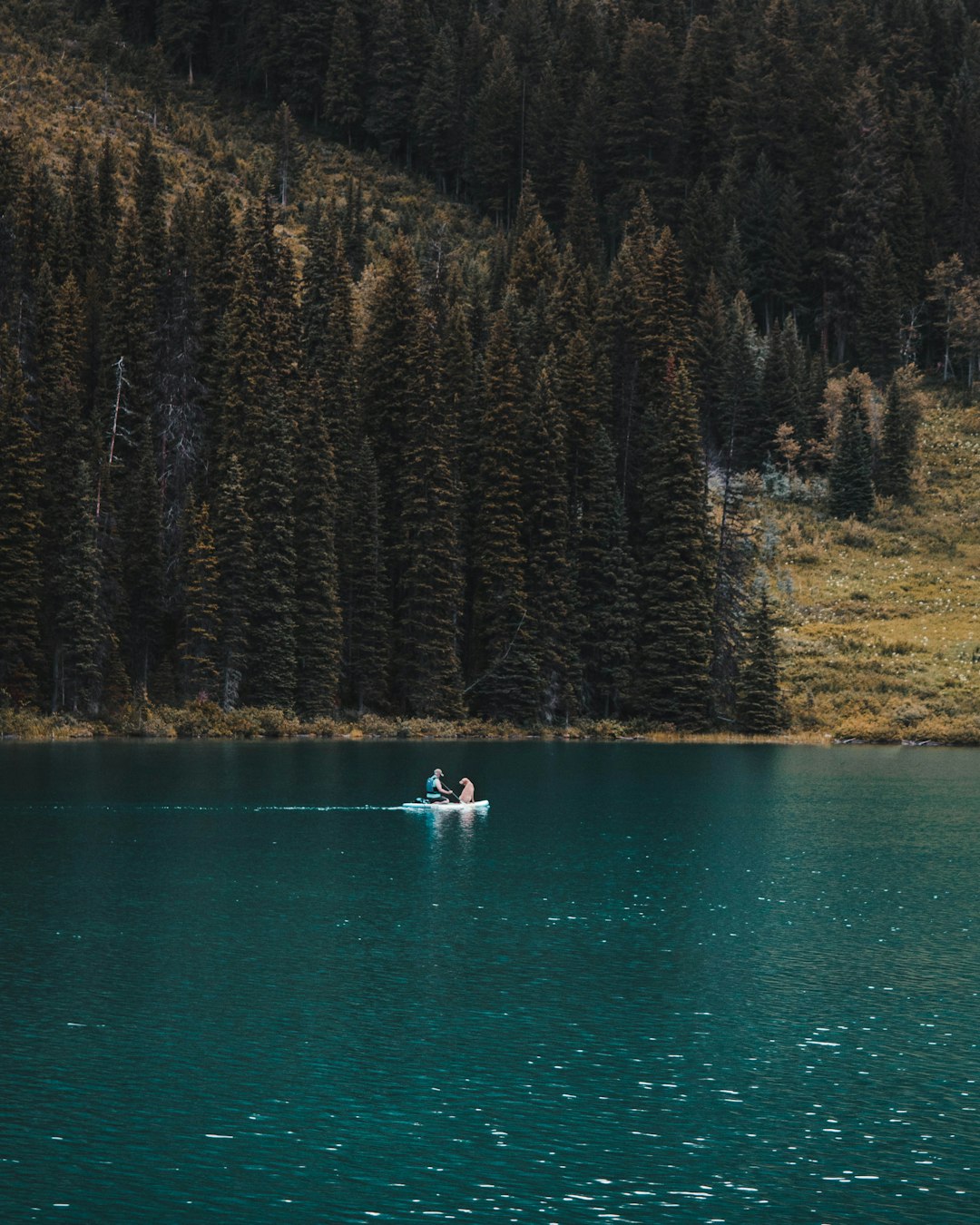 person on boat near pine trees at daytime