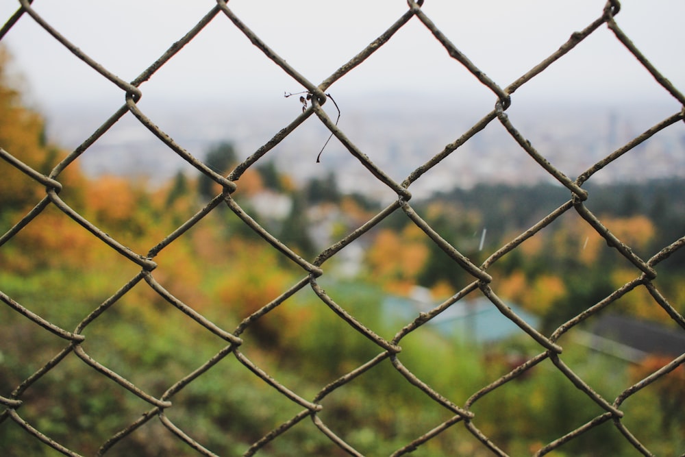 gray wire fence