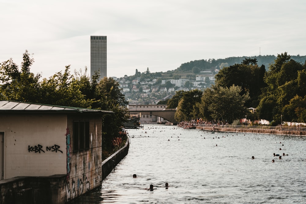 Fluss unter weißem Himmel