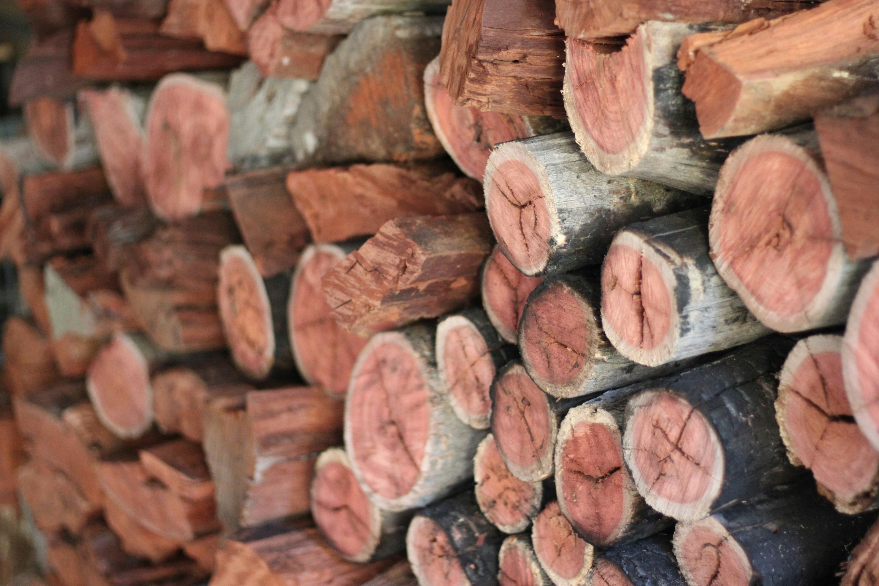 lotto di tronchi di legno marrone