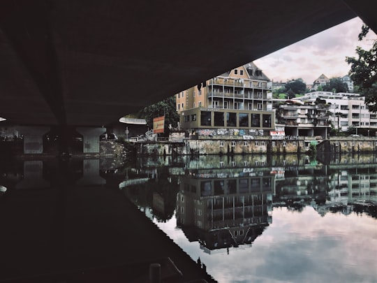 body of water with reflections of buildings in Altstetten Switzerland