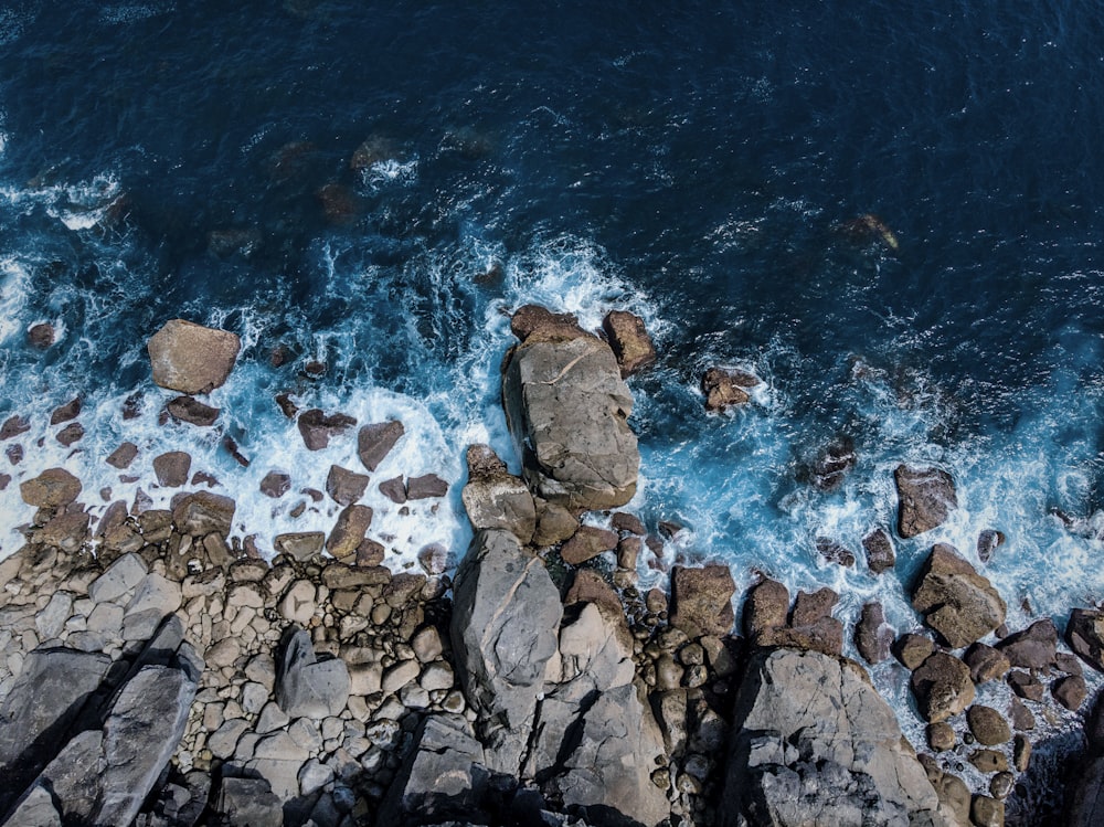 brown and gray rocks near seashore