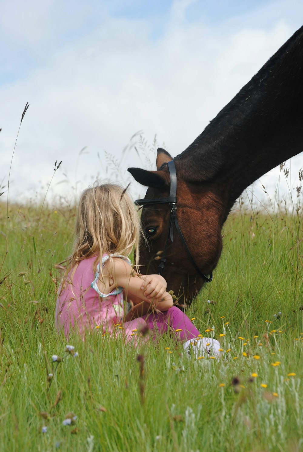 kid sitting beside brown horse during daytime