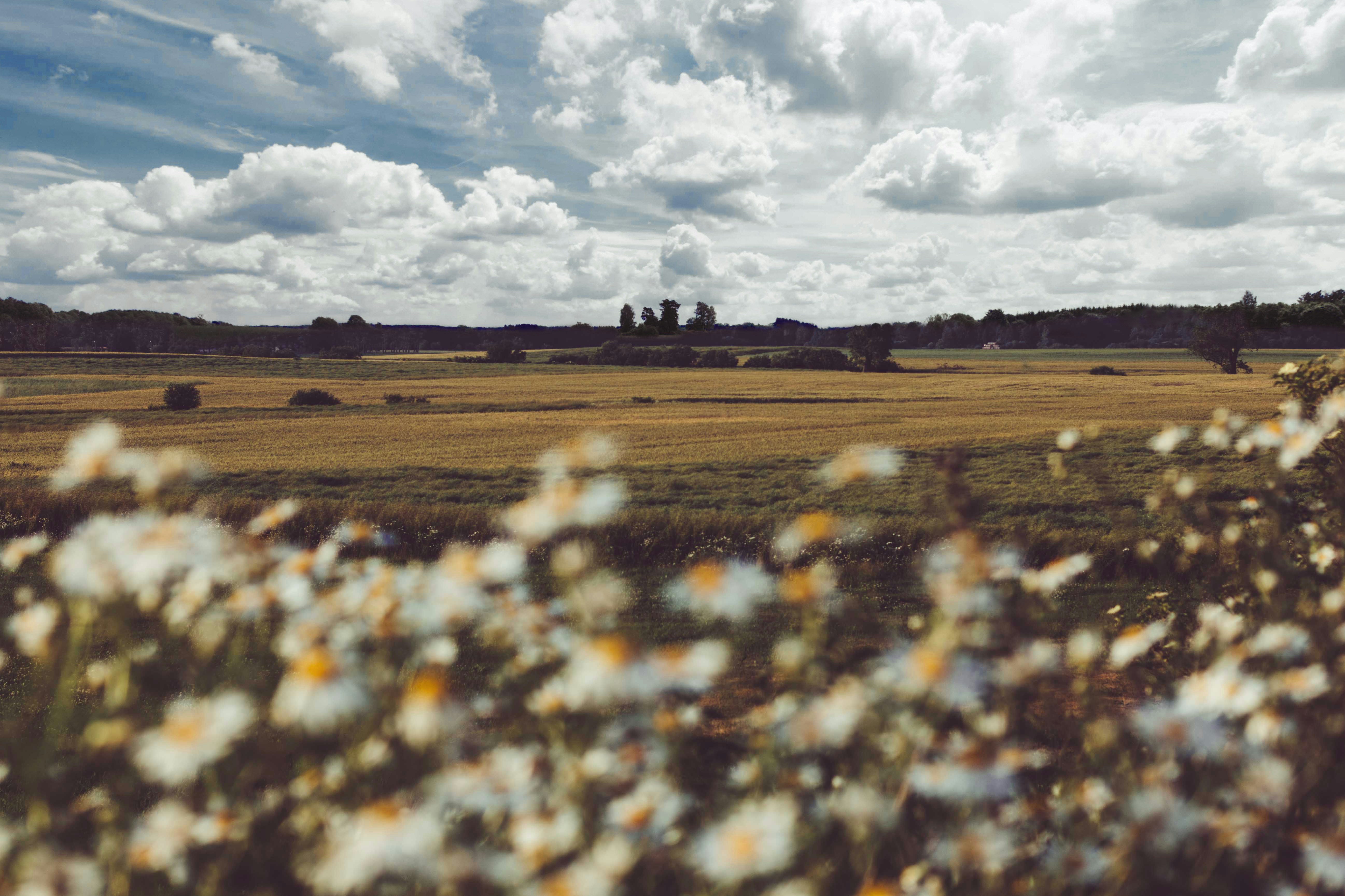 Photo by tomasz_filipek