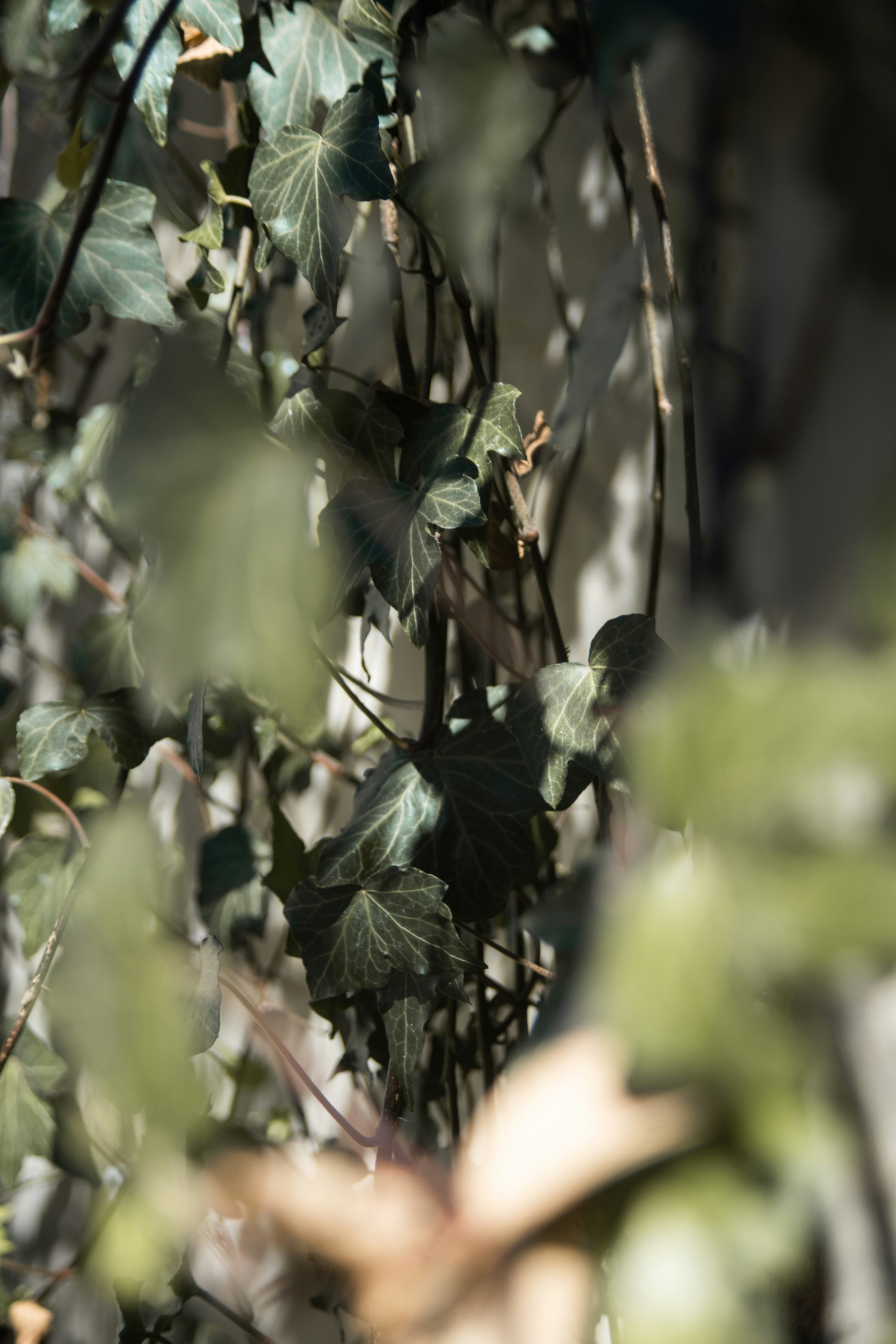 Photo by walterrandlehoff