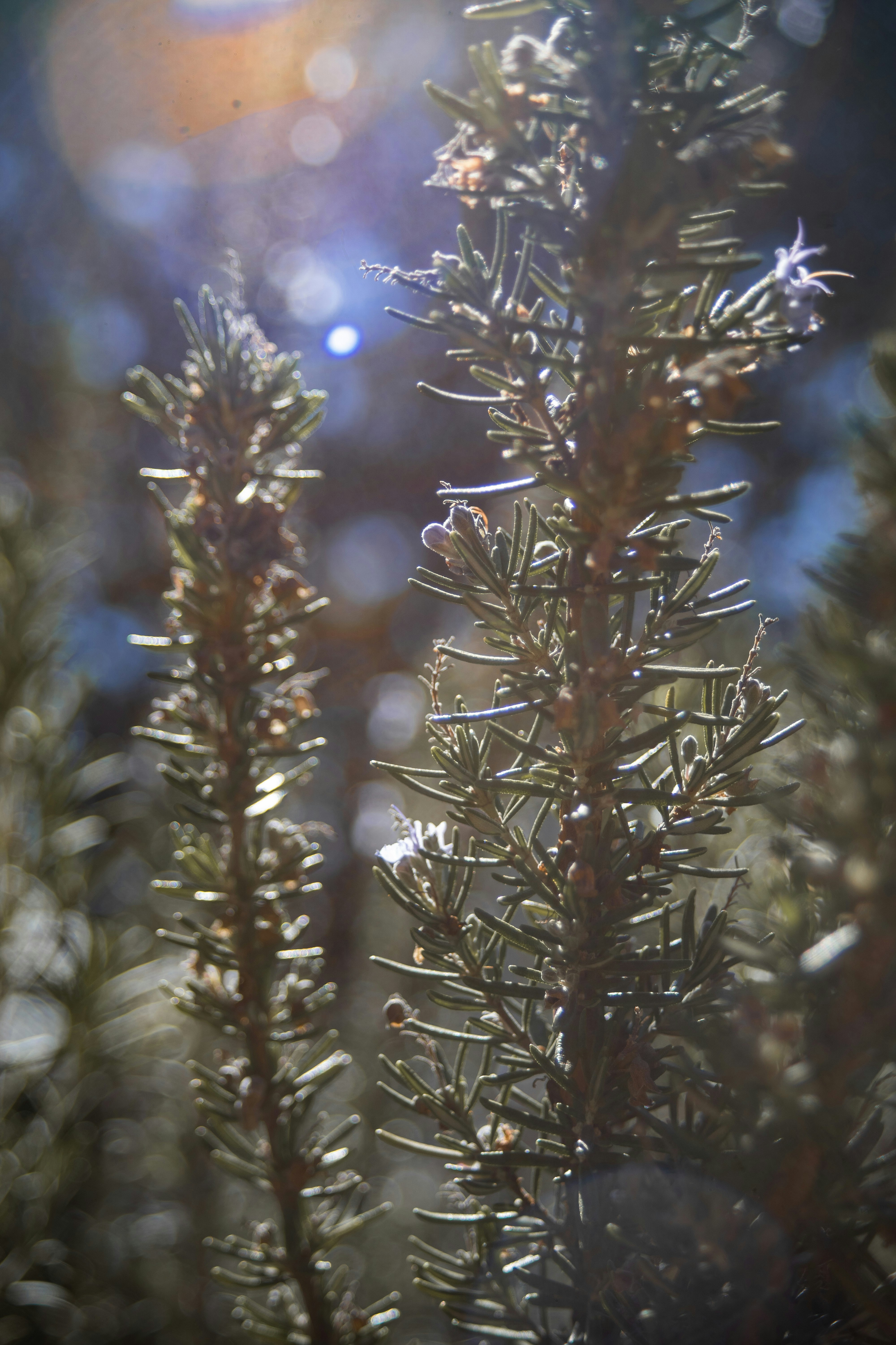 Photo by walterrandlehoff