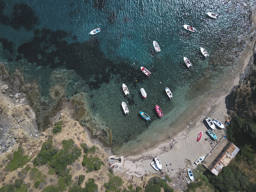 assorted-color boats on sea and others are on seashore