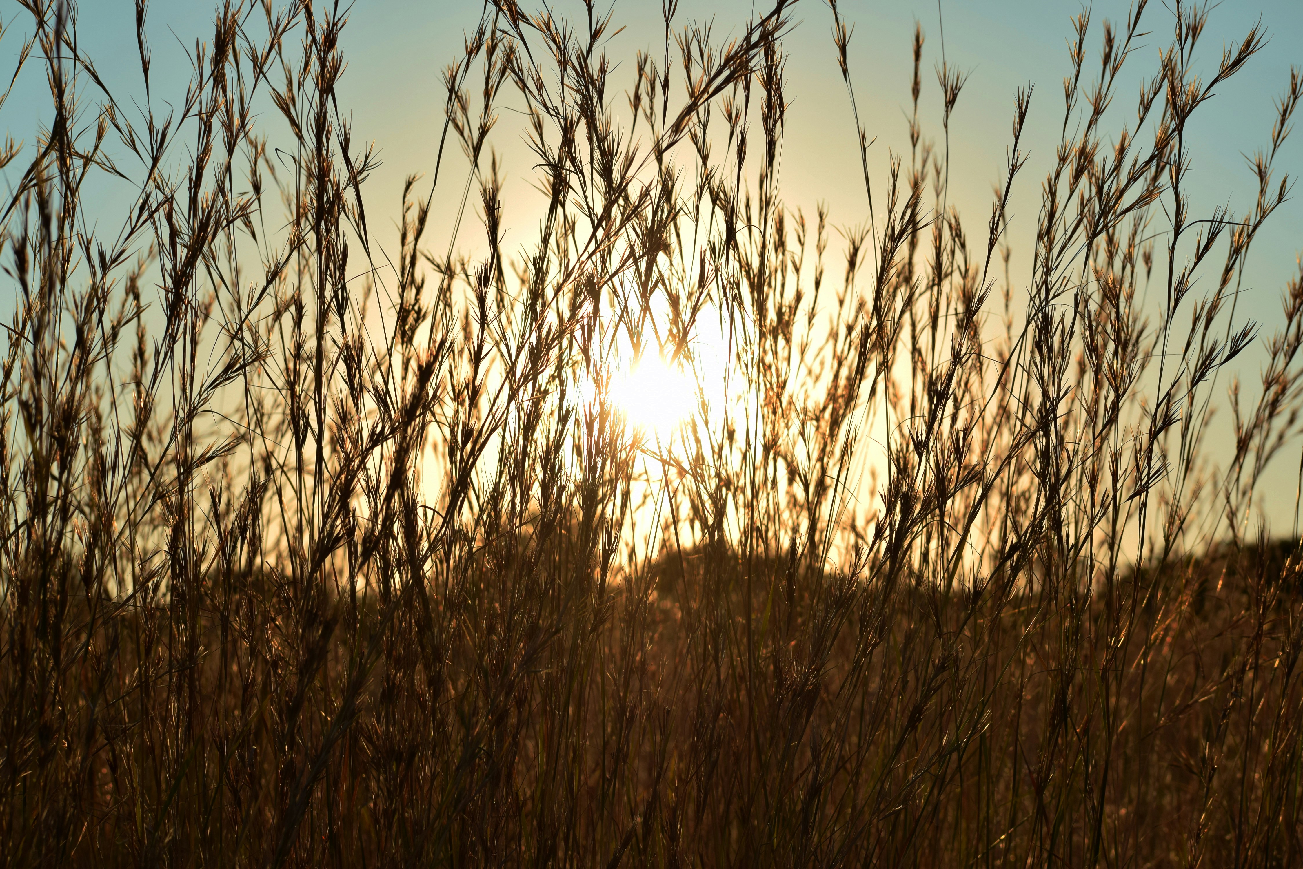 Photo by amandaswanepoel