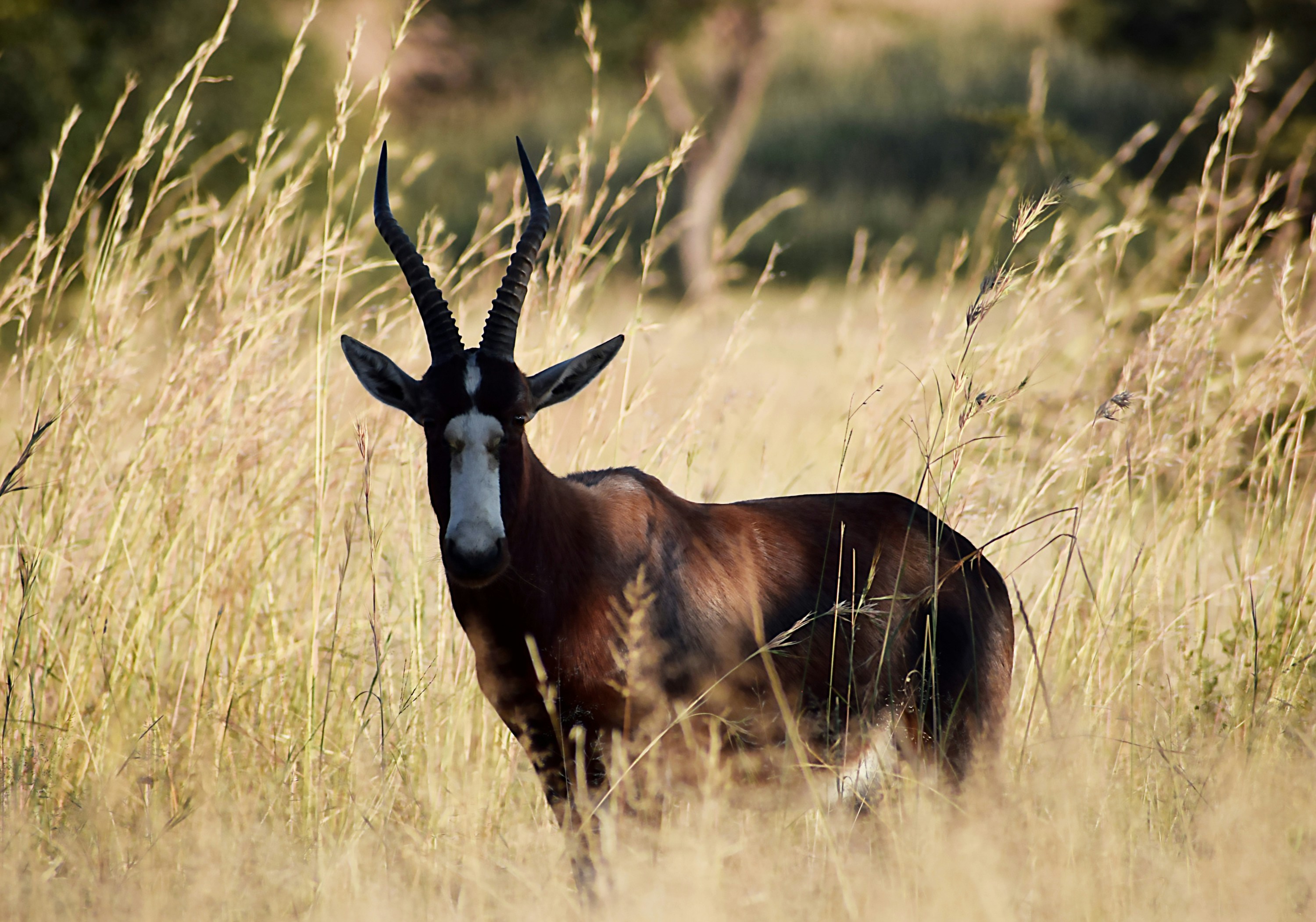 Photo by amandaswanepoel