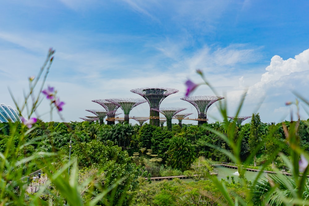 green plants under white clouds