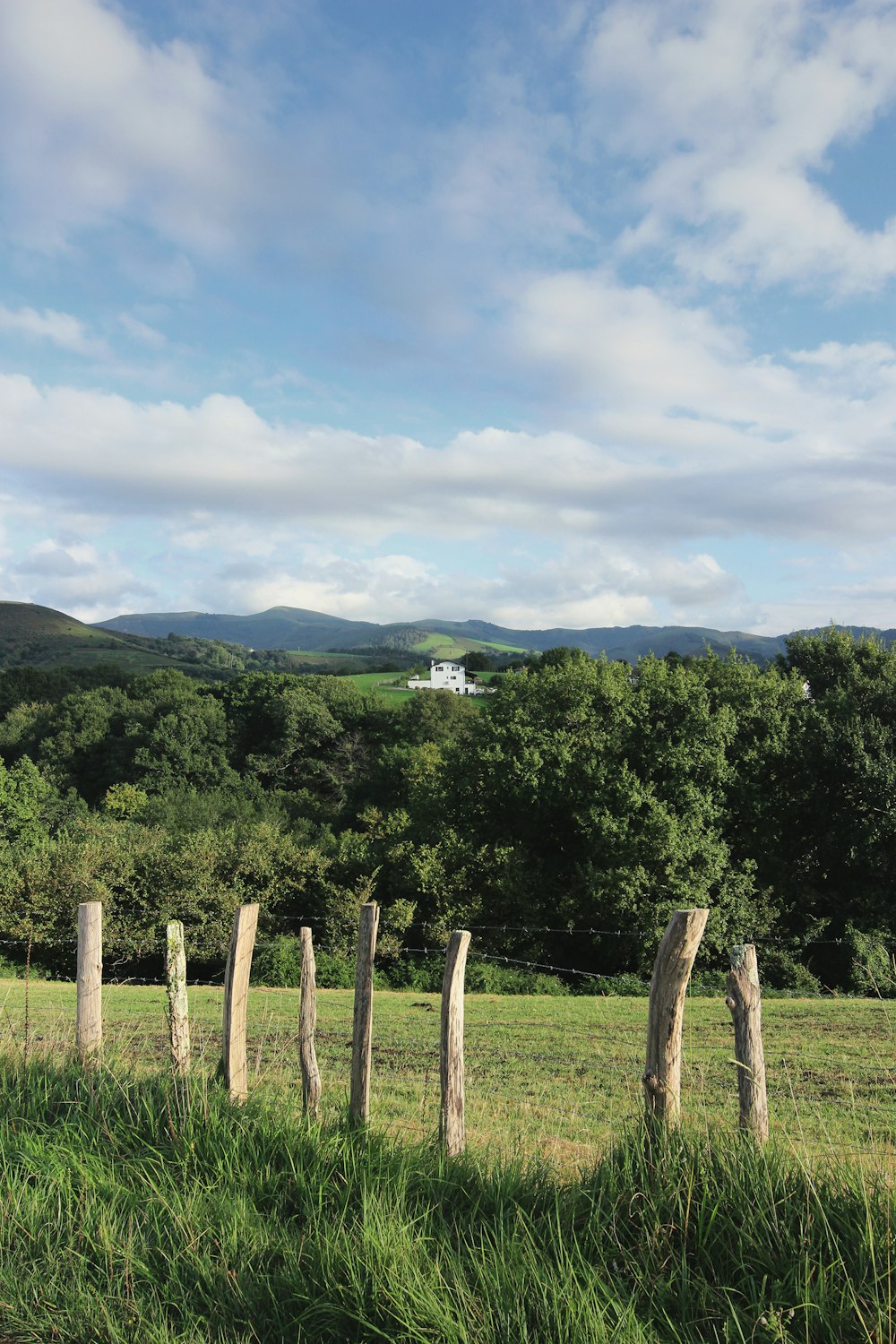 white building on hill