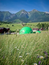 A lush green meadow with wildflowers in the foreground and geodesic domes scattered throughout. Rolling hills lead up to majestic, rugged mountains under a clear blue sky.