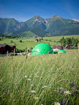 A lush green meadow with wildflowers in the foreground and geodesic domes scattered throughout. Rolling hills lead up to majestic, rugged mountains under a clear blue sky.