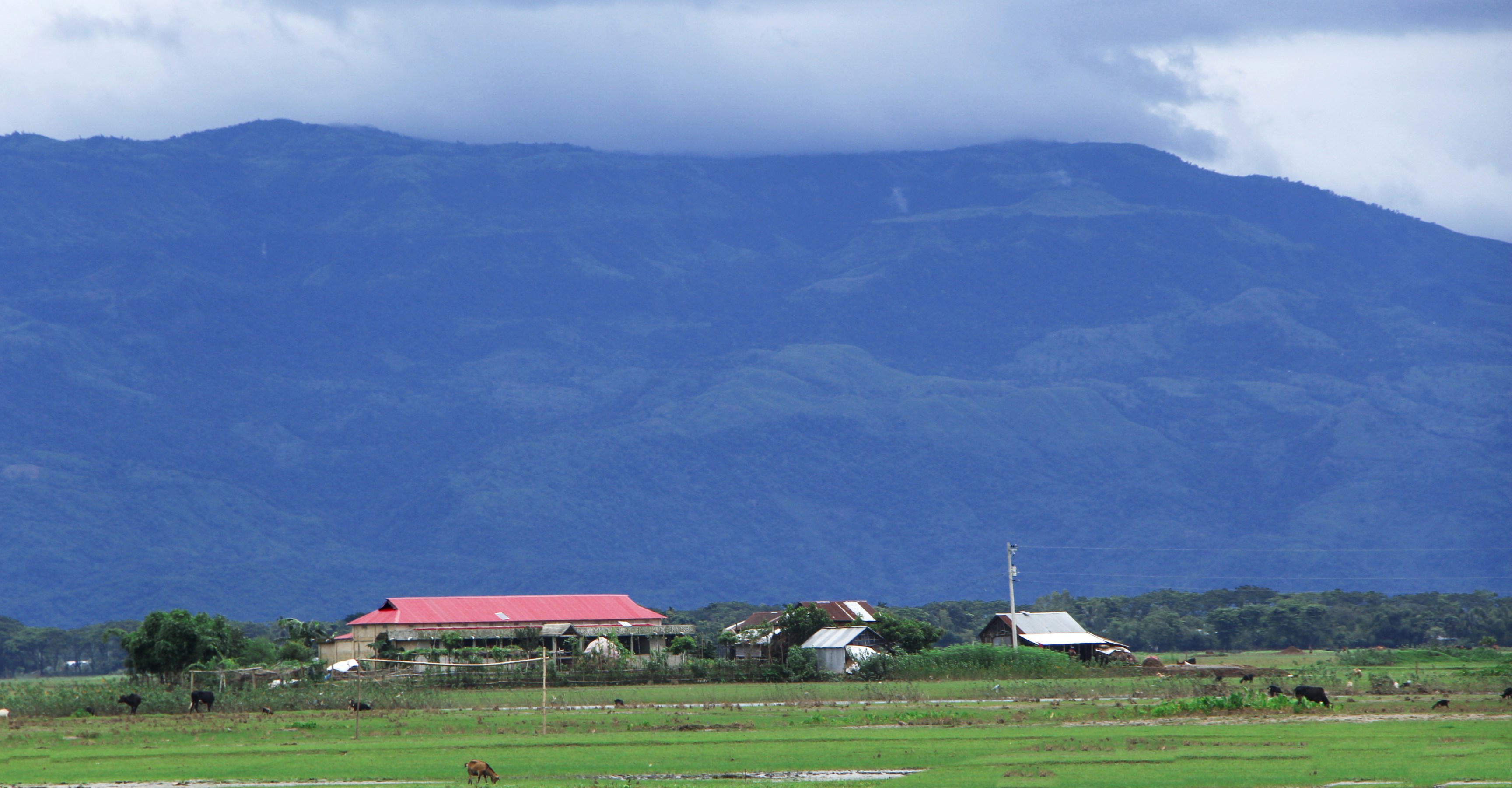 Rural Scotland Fieldwork