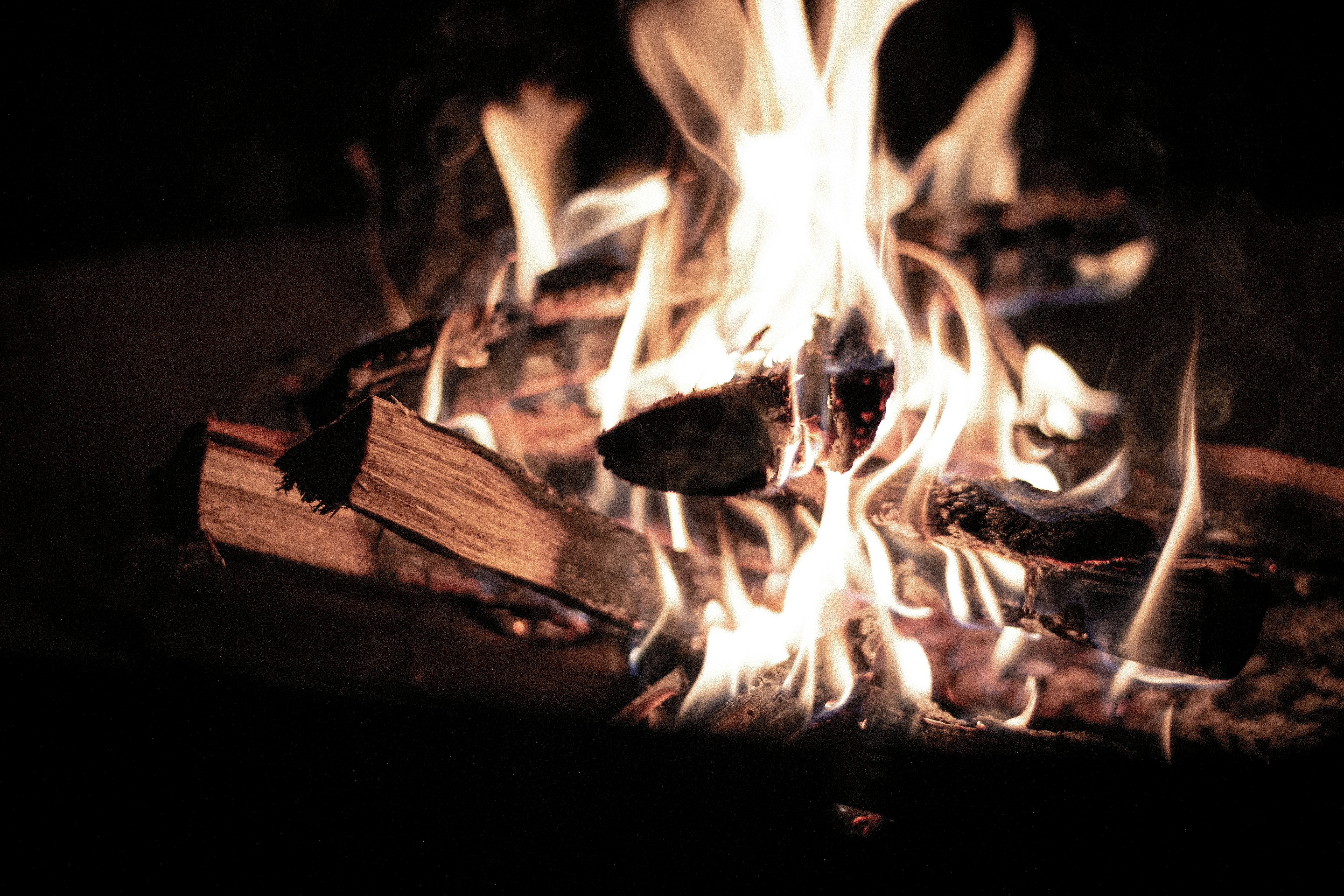 Photo by mauricesahl